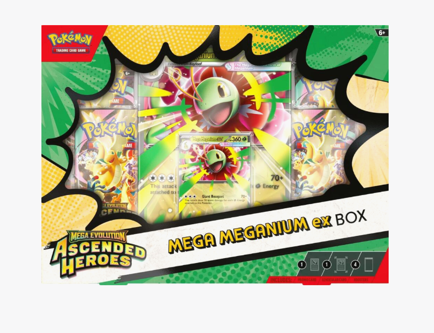 Heroes Who Ascend Mega Feraligatr, Meganium or Emboar Box